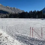 Apartment Haus Alpenrose Waidring