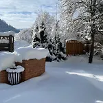 Apartment Haus Alpenrose Waidring