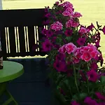 Haus Alpenrose Apartment