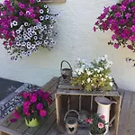 Apartment Haus Alpenrose *