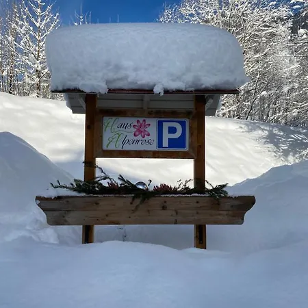 Haus Alpenrose شقة