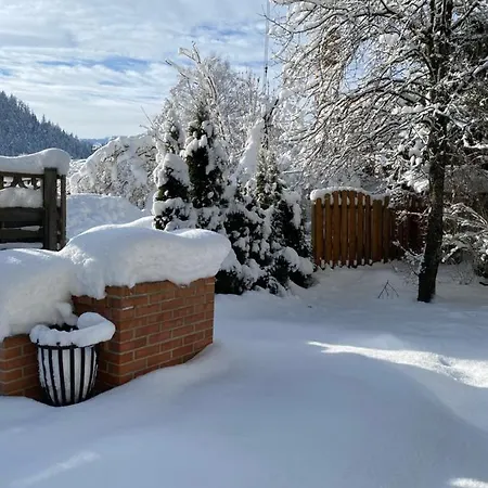 Apartment Haus Alpenrose Waidring