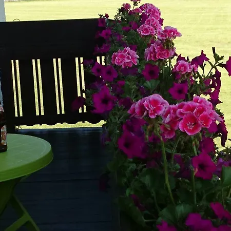 Haus Alpenrose شقة