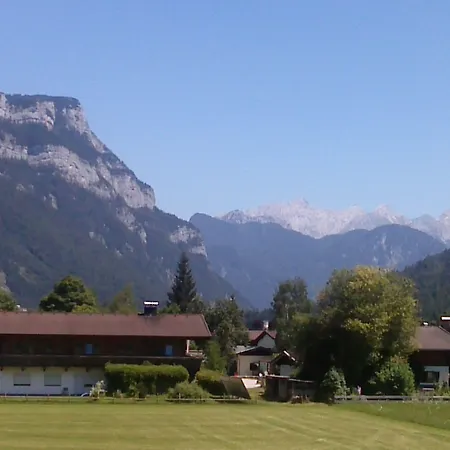 Alpenrose