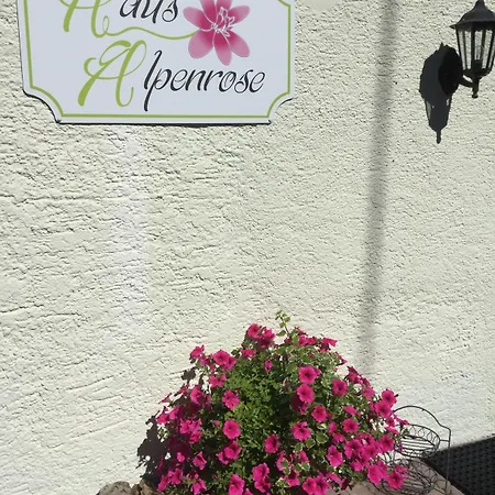 Haus Alpenrose Daire Waidring