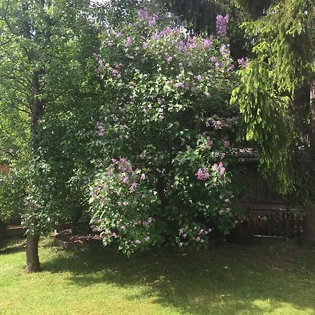 Apartment Haus Alpenrose *