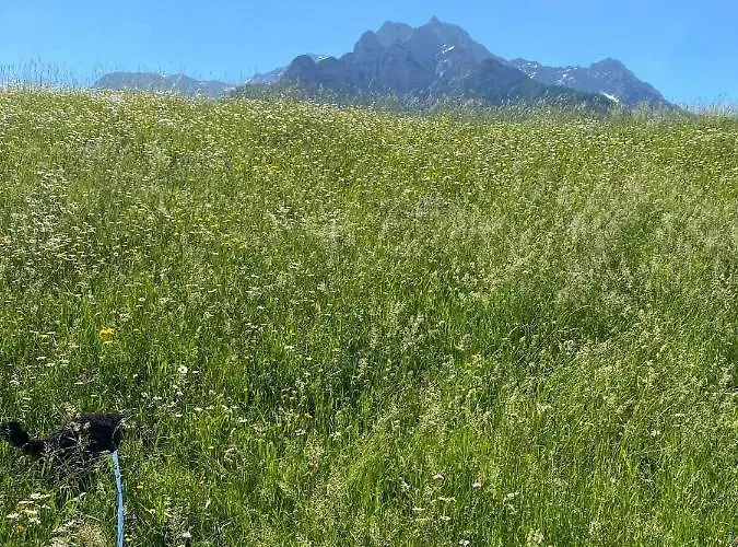 Apartment Haus Alpenrose