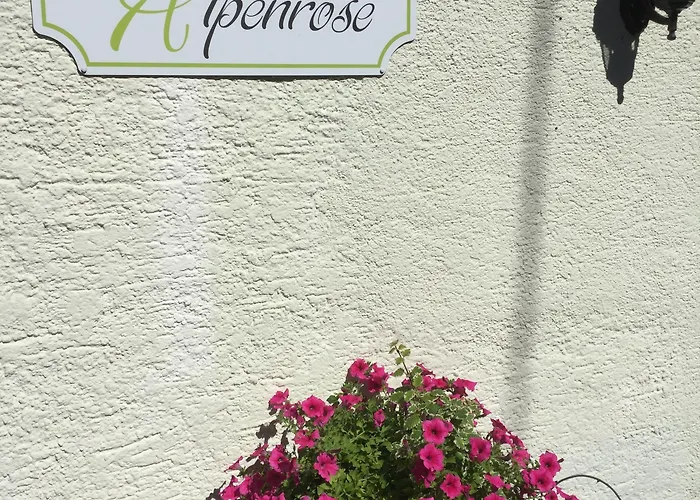 Haus Alpenrose Apartment Waidring