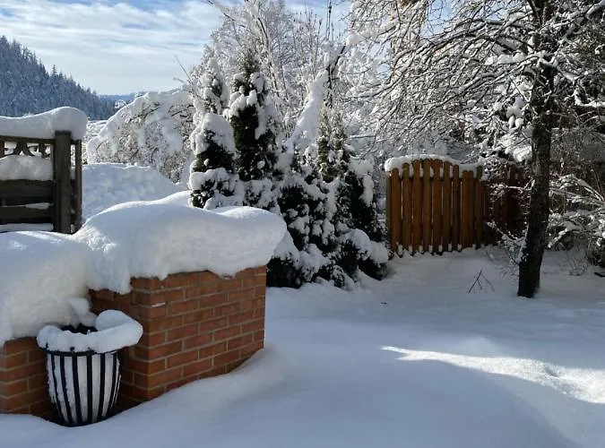 Apartmán Haus Alpenrose Waidring