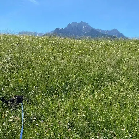 Apartamento Haus Alpenrose